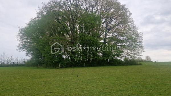Terrain de 11 574 m²