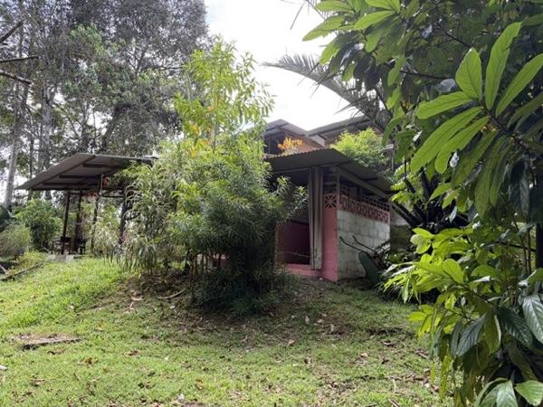 Maison/Villa À Vendre en Guyane / SAINT LAURENT DU MARONI 97320