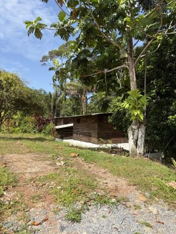 Maison/Villa À Vendre en Guyane / SAINT LAURENT DU MARONI 97320