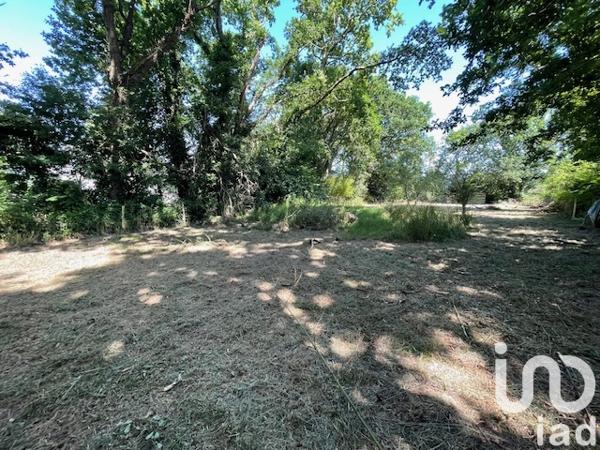 Terrain à vendre 1 443 m² Riec-sur-Bélon