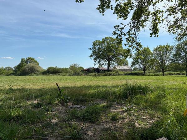 Terrain Ecuillé 599 m2