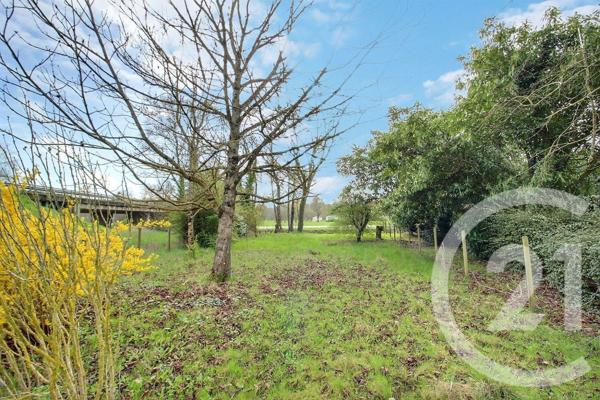 Terrain à vendre  316 m2 VENDOME - 41