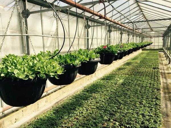 Vente Local commercial 5500 m2 à Ribemont