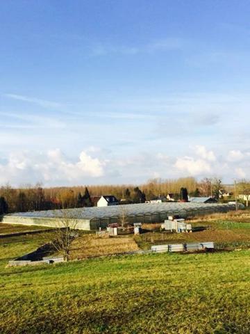 Vente Local commercial 5500 m2 à Ribemont