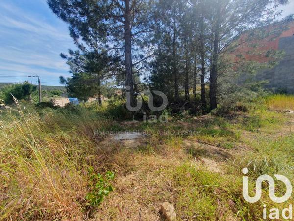 Terrain à vendre 431 m² Boutenac