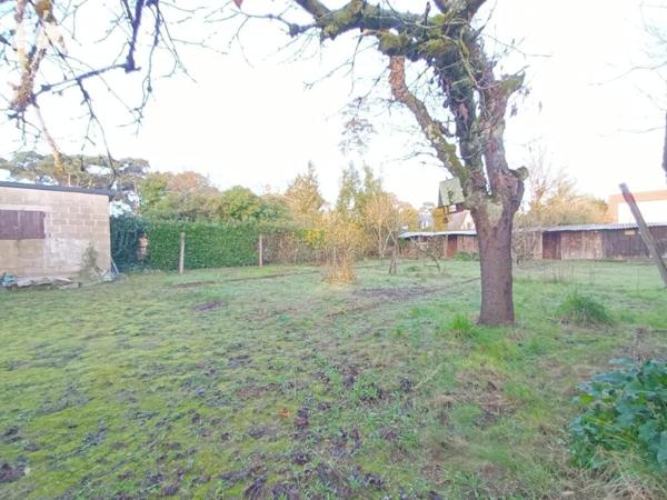 Ensemble immobilier avec maison 3 chambres et local commercial loué !