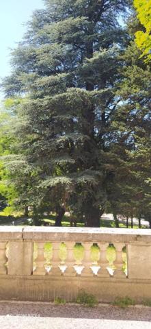 Château du 19e  avec dépendances et parc