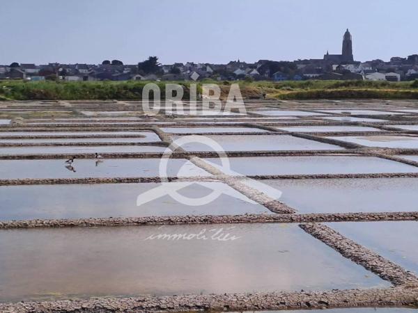 TERRAIN 311 m² ET 306m²