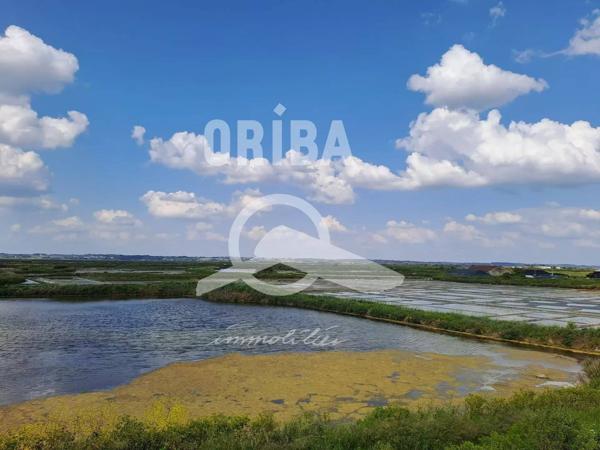 TERRAIN 311 m² ET 306m²