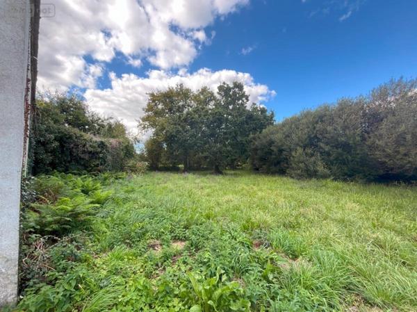 Maison à vendre à Plobannalec-Lesconil dans le Finistère (29740), ref : 29022-1860