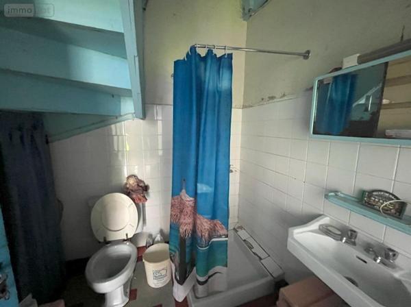 Maison à vendre à Plobannalec-Lesconil dans le Finistère (29740), ref : 29022-1860