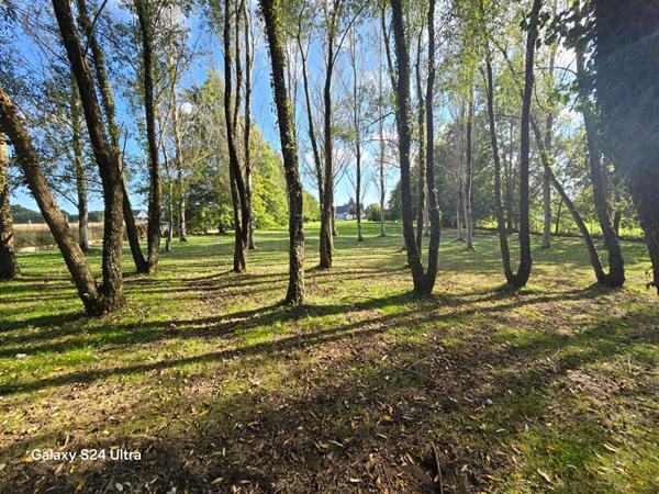 Maison à vendre dans un cadre bucolique