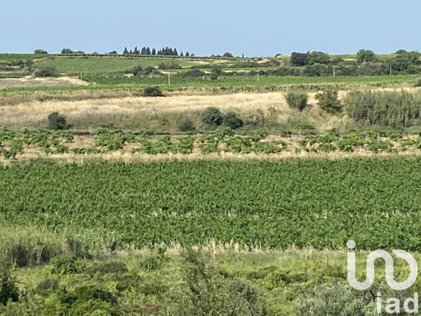 Terrain à vendre 52 610 m² Magalas