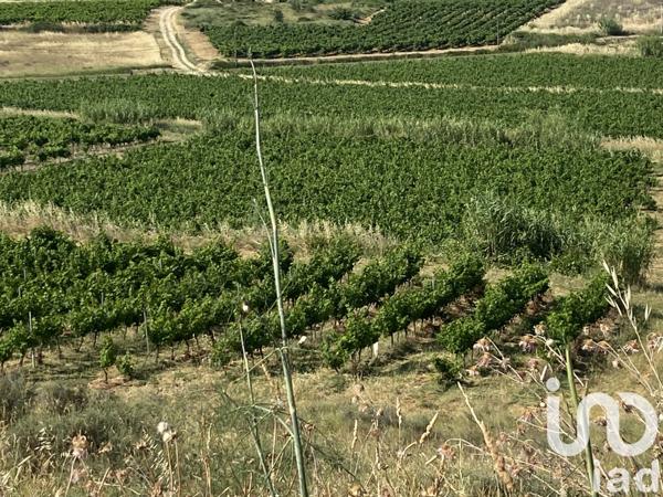 Terrain à vendre 52 610 m² Magalas