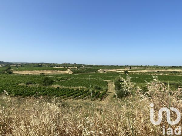 Terrain à vendre 52 610 m² Magalas