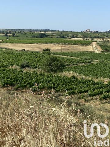 Terrain à vendre 52 610 m² Magalas