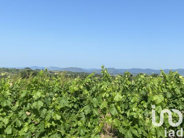 Terrain à vendre 52 610 m² Magalas