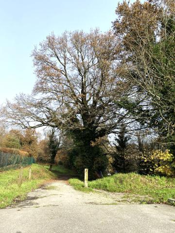 Appartement à vendre à Vannes - 3 chambres - dernier étage - terrasse !