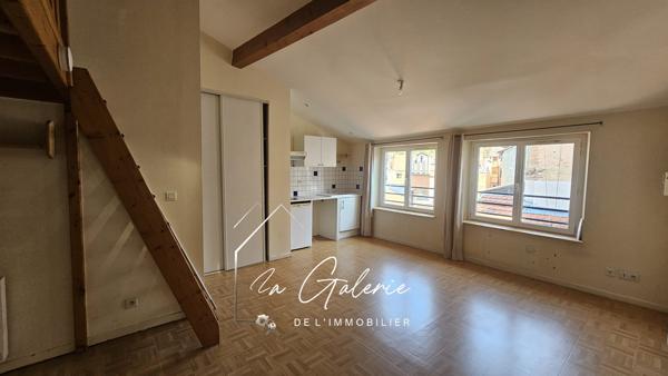 GRAND STUDIO HYPER CENTRE DE GRENOBLE IDEAL POUR INVESTISSEUR