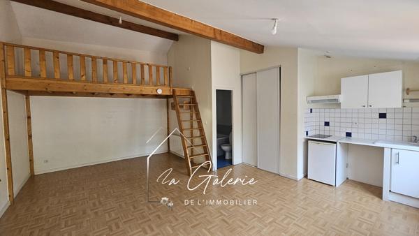 GRAND STUDIO HYPER CENTRE DE GRENOBLE IDEAL POUR INVESTISSEUR