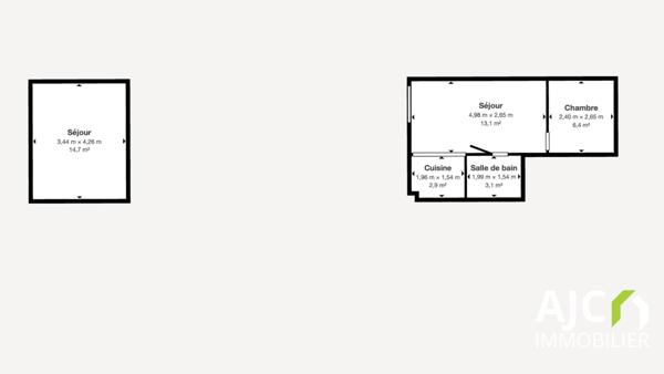 Tours (37000) Appartement avec jardin en ville