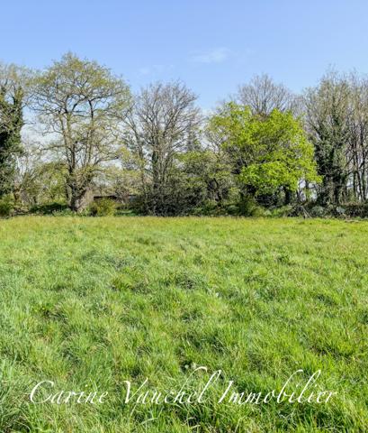 Brandivy (56390) Magnifique terrain constructible de 1 712 m² à Brandivy, au cœur des Landes de Lanvaux