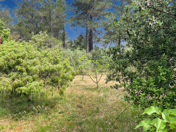 Trets (13530) VENTE - MAISON DE PLAIN-PIED AU CALME, TRETS