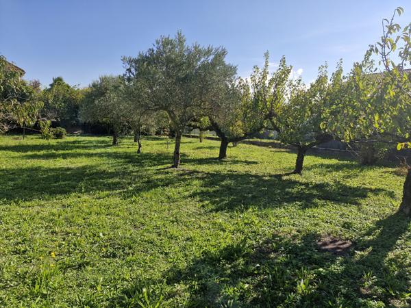 Courthézon (84350) Maison plain pied avec terrain