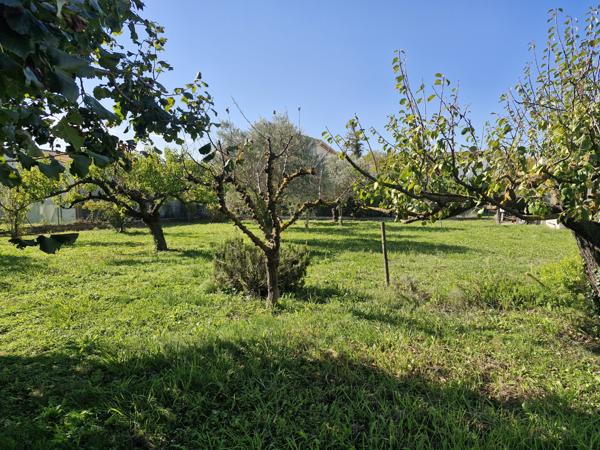 Courthézon (84350) Maison plain pied avec terrain