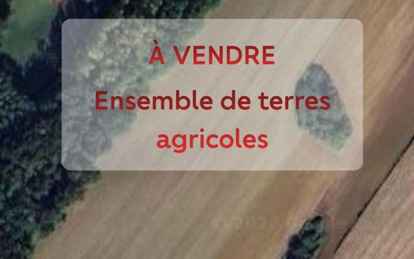 Terrain à vendre    Ozenx-Montestrucq