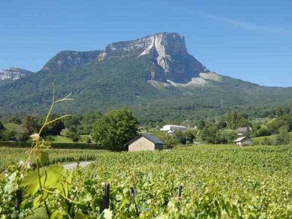 MAISON  AVEC DEPENDANCE TERRAIN 20000 M2