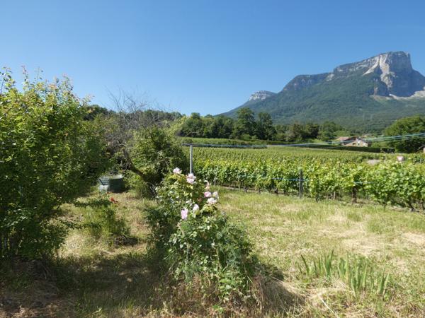 MAISON  AVEC DEPENDANCE TERRAIN 20000 M2