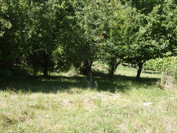 MAISON  AVEC DEPENDANCE TERRAIN 20000 M2