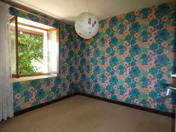 MAISON  AVEC DEPENDANCE TERRAIN 20000 M2
