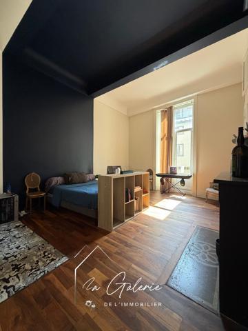 MAGNIFIQUE APPARTEMENT RENOVE EN HYPER CENTRE DE GRENOBLE