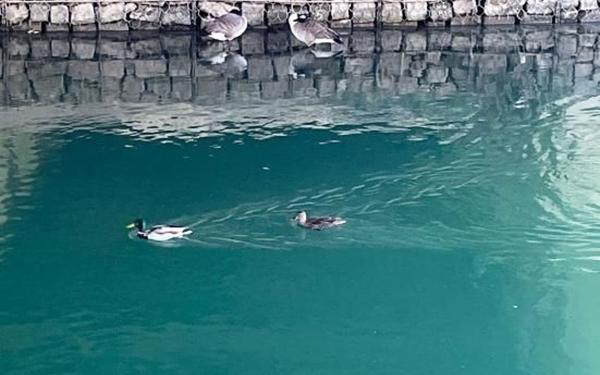 Appartement à vendre    4 pièces • 141,42 m2 Champigny-sur-Marne