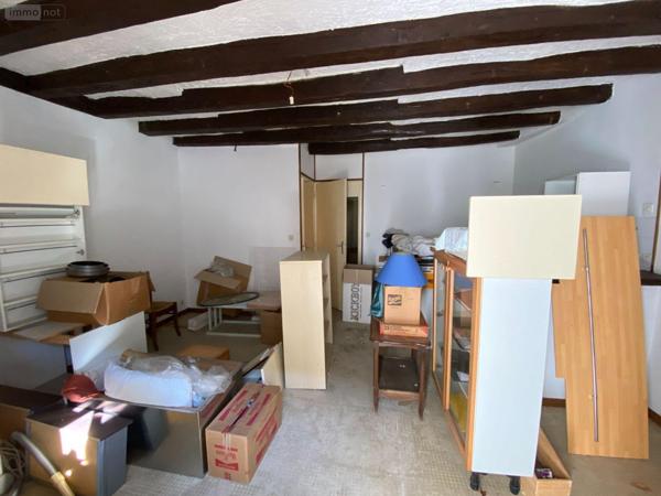 Maison à vendre à Châtillon-sur-Indre dans l'Indre (36700), ref : 1051504