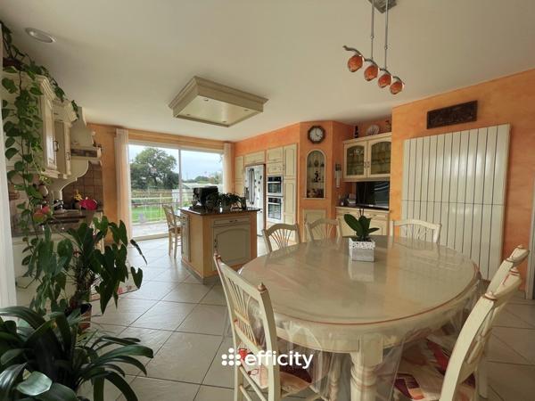 Maison 8 pièces - 252 m²