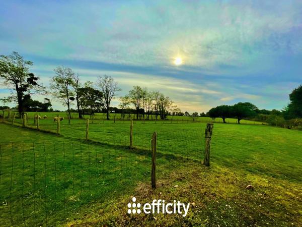 Maison 8 pièces - 252 m²