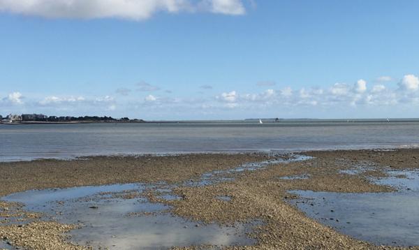 Grand T2 57 M2 avec balcon et garage