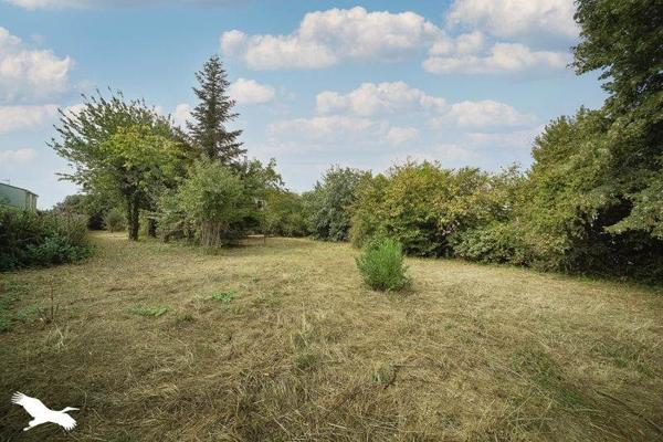 Maison à vendre 273 000 € Saint-Sulpice-la-Pointe 5 p 104 m² DPE D