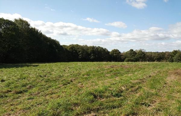 Maison de charme avec prairies et bois