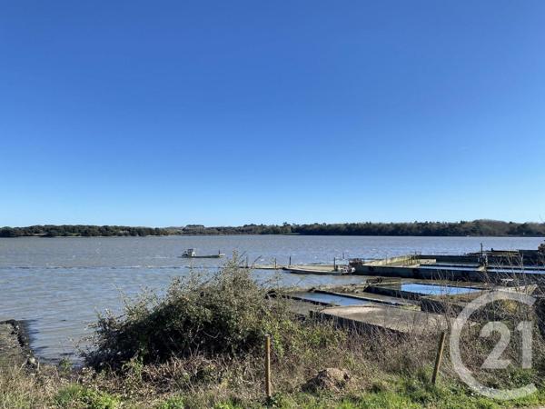 Maison à vendre  7 pièces - 110 m2 SARZEAU - 56