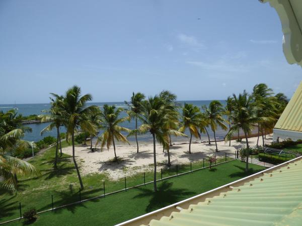 Vente / Appartement