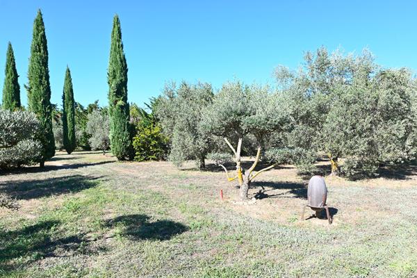 Maison nature en bois de 110 m² et son grand terrain