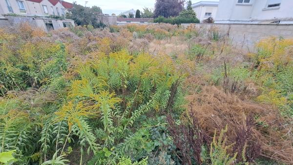 Terrain à vendre SOISSONS (02)