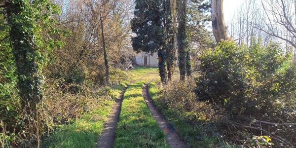 COTES D'ARMOR Plumieux : Maison 2 chambres à la campagne 5000m2 de terrain