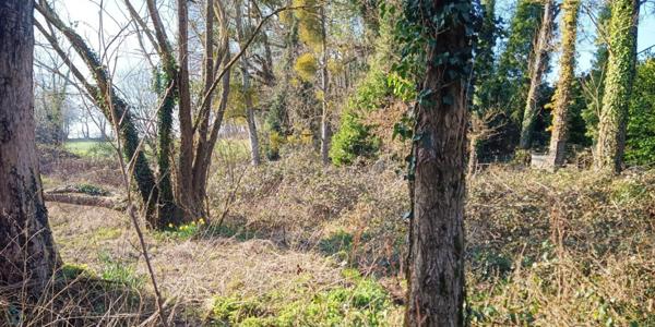 COTES D'ARMOR Plumieux : Maison 2 chambres à la campagne 5000m2 de terrain