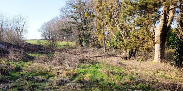 COTES D'ARMOR Plumieux : Maison 2 chambres à la campagne 5000m2 de terrain
