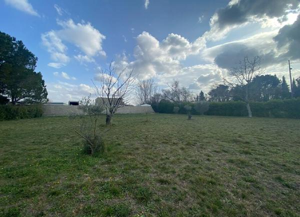 Terrain à vendre    Sorgues